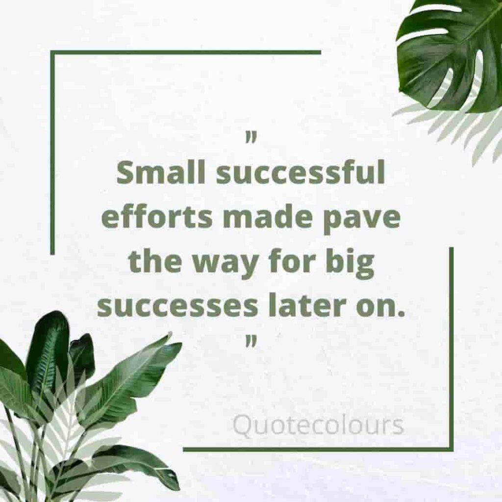 Small success efforts made motivational quotes for life 