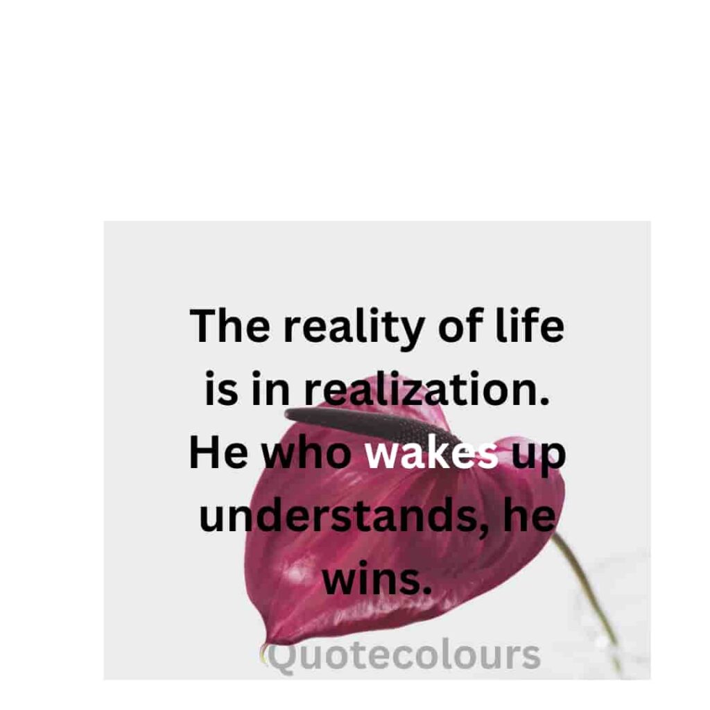 Reality of life is in realization motivational quotes for life