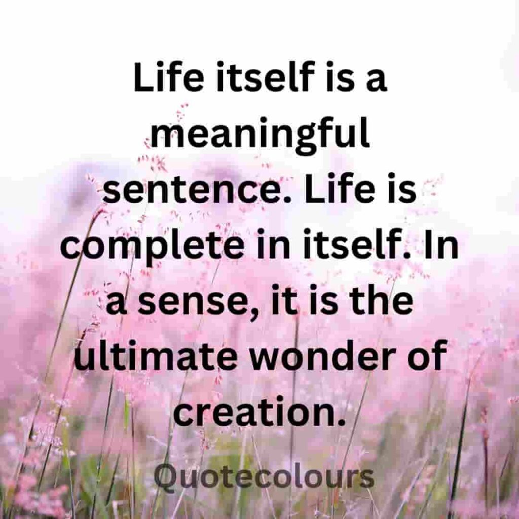 Life itself is a meaningful sentence quotes about spirituaity